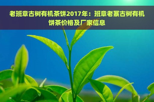 老班章古树有机茶饼2017年：班章老寨古树有机饼茶价格及厂家信息