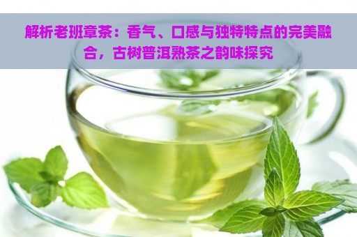 解析老班章茶：香气、口感与独特特点的完美融合，古树普洱熟茶之韵味探究