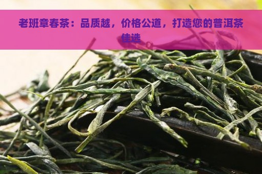 老班章春茶：品质越，价格公道，打造您的普洱茶佳选