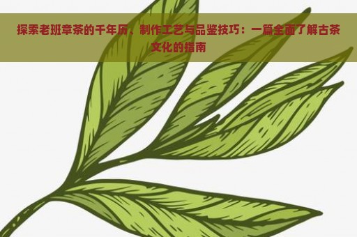 探索老班章茶的千年历、制作工艺与品鉴技巧：一篇全面了解古茶文化的指南