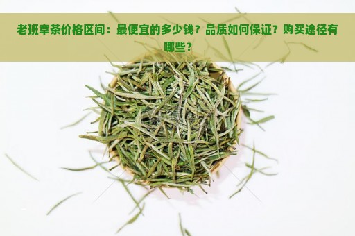 老班章茶价格区间：最便宜的多少钱？品质如何保证？购买途径有哪些？