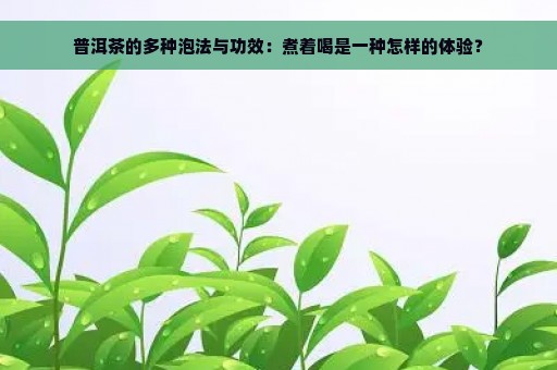 普洱茶的多种泡法与功效：煮着喝是一种怎样的体验？