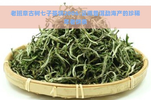 老班章古树七子茶饼2006:云南普洱勐海产的珍稀年老饼茶