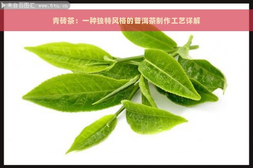 青砖茶：一种独特风格的普洱茶制作工艺详解