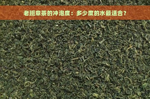 老班章茶的冲泡度：多少度的水最适合？