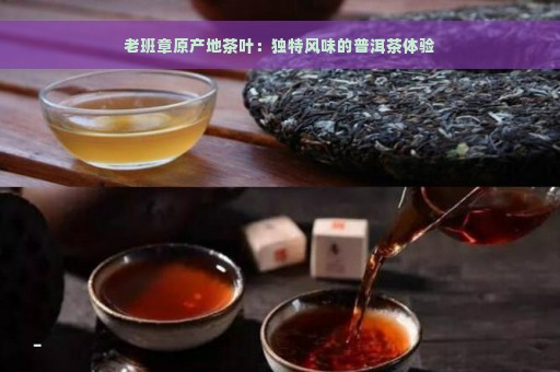 老班章原产地茶叶：独特风味的普洱茶体验