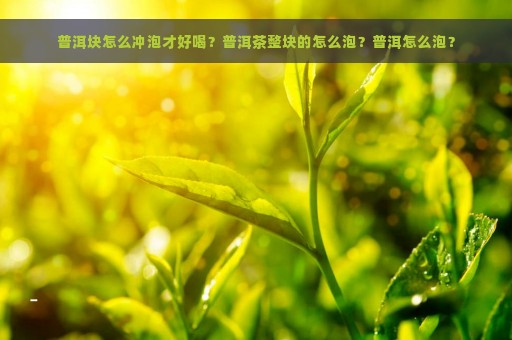 普洱块怎么冲泡才好喝？普洱茶整块的怎么泡？普洱怎么泡？