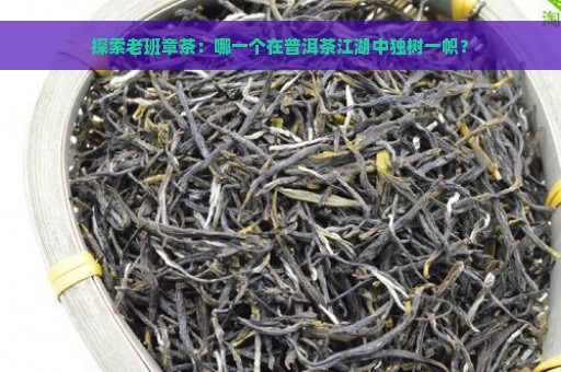 探索老班章茶：哪一个在普洱茶江湖中独树一帜？