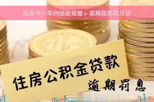 信用卡一年内还款策略：实用指南和方式