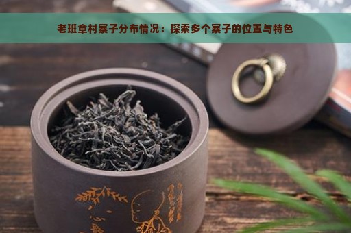 老班章村寨子分布情况：探索多个寨子的位置与特色