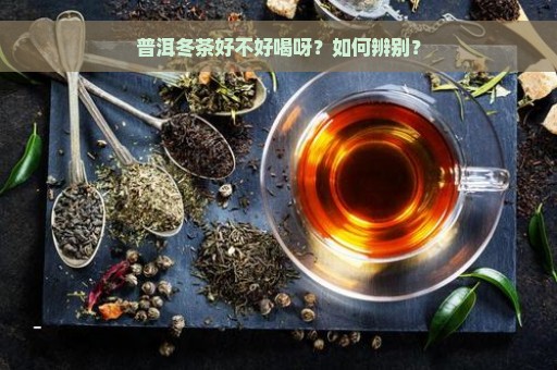 普洱冬茶好不好喝呀？如何辨别？