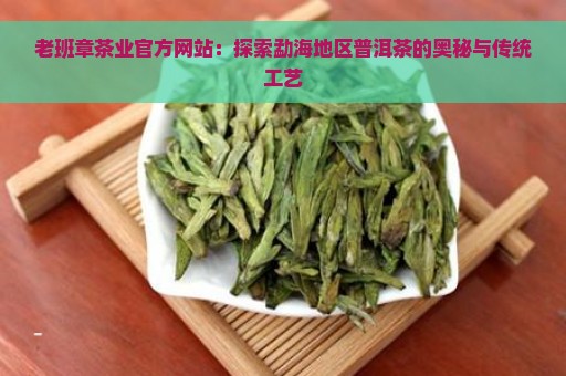 老班章茶业官方网站：探索勐海地区普洱茶的奥秘与传统工艺