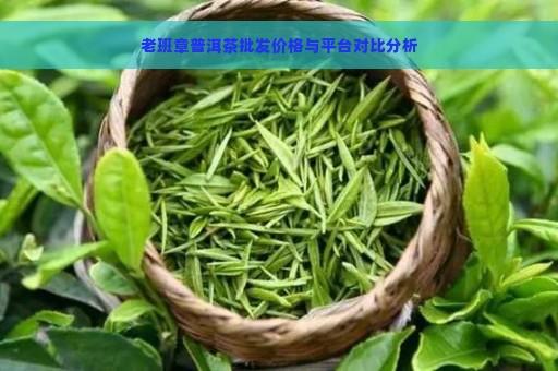 老班章普洱茶批发价格与平台对比分析