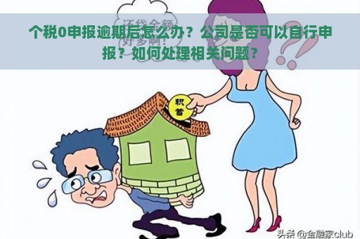 个税0申报逾期后怎么办？公司是否可以自行申报？如何处理相关问题？