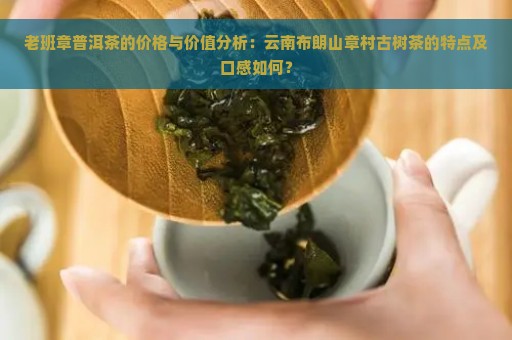 老班章普洱茶的价格与价值分析：云南布朗山章村古树茶的特点及口感如何？