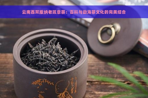 云南西双版纳老班章茶：百科与勐海茶文化的完美结合