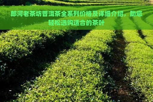 郎河老茶坊普洱茶全系列价格及详细介绍，助您轻松选购适合的茶叶