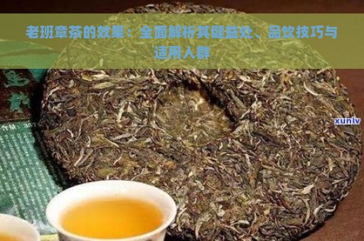 老班章茶的效果：全面解析其健益处、品饮技巧与适用人群