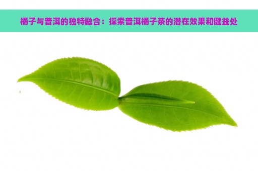 橘子与普洱的独特融合：探索普洱橘子茶的潜在效果和健益处