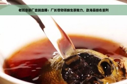 老班章茶厂直销直播：厂长带您领略生茶魅力，勐海县排名前列