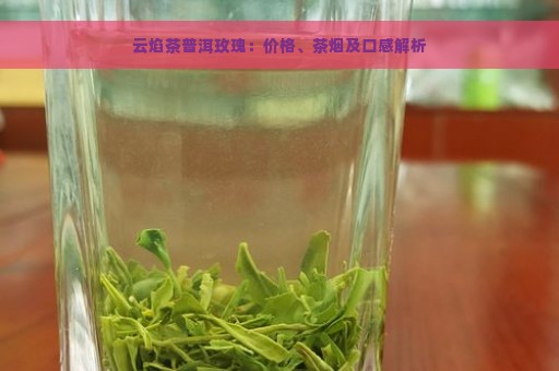 云焰茶普洱玫瑰：价格、茶烟及口感解析