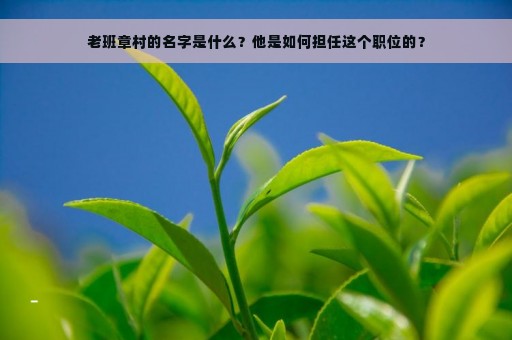 老班章村的名字是什么？他是如何担任这个职位的？