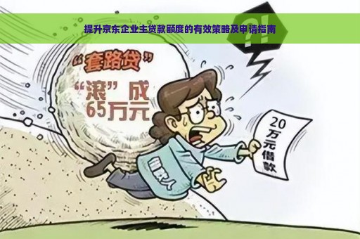 提升京东企业主贷款额度的有效策略及申请指南