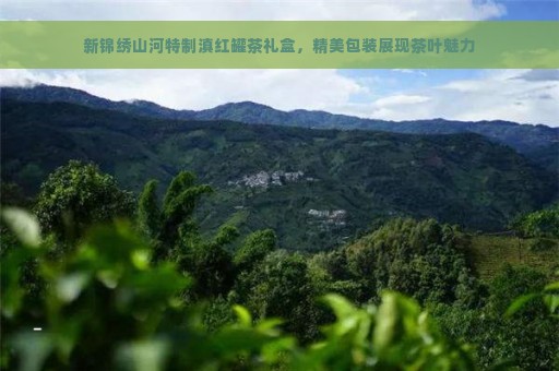 新锦绣山河特制滇红罐茶礼盒，精美包装展现茶叶魅力