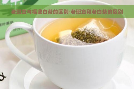 老班章与福鼎白茶的区别-老班章和老白茶的区别