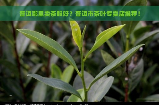 普洱哪里卖茶服好？普洱市茶叶专卖店推荐！