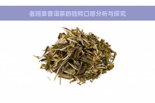 老班章普洱茶的独特口感分析与探究