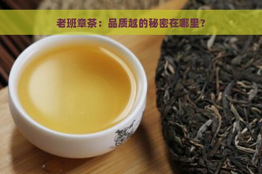 老班章茶：品质越的秘密在哪里？