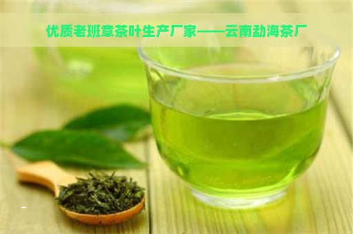 优质老班章茶叶生产厂家——云南勐海茶厂