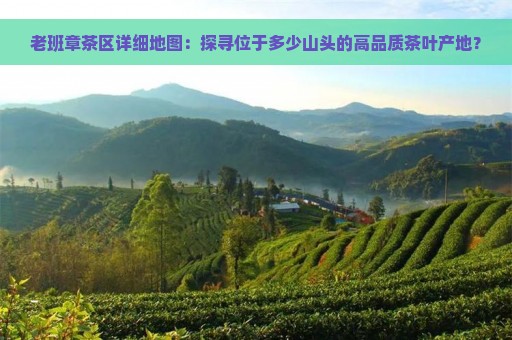 老班章茶区详细地图：探寻位于多少山头的高品质茶叶产地？