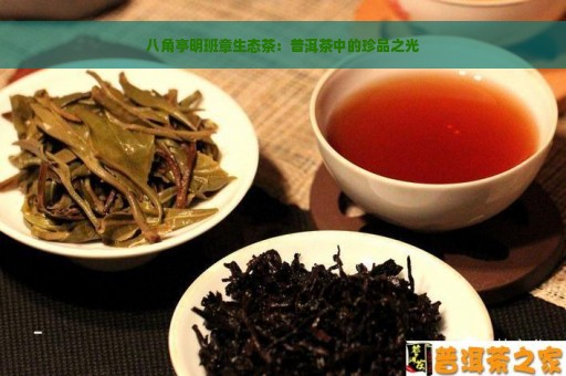 八角亭明班章生态茶：普洱茶中的珍品之光