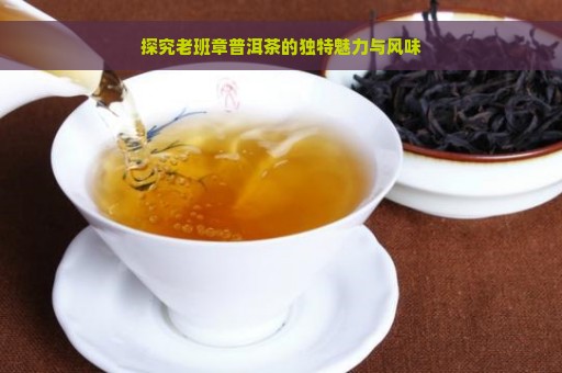 探究老班章普洱茶的独特魅力与风味