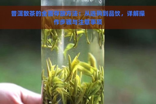 普洱散茶的全面存放方法：从选购到品饮，详解操作步骤与注意事项