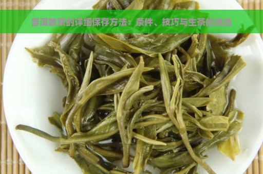 普洱散茶的详细保存方法：条件、技巧与生茶的挑选