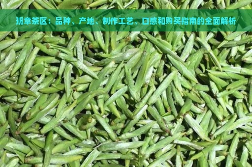 班章茶区：品种、产地、制作工艺、口感和购买指南的全面解析