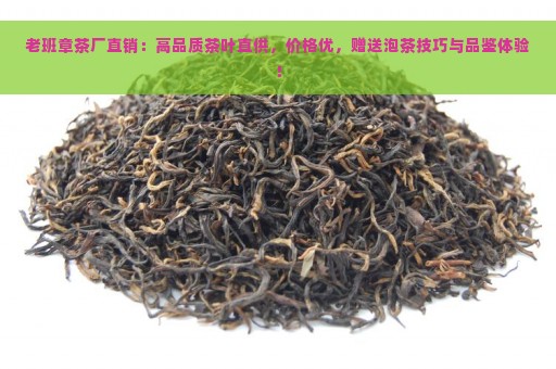 老班章茶厂直销：高品质茶叶直供，价格优，赠送泡茶技巧与品鉴体验！