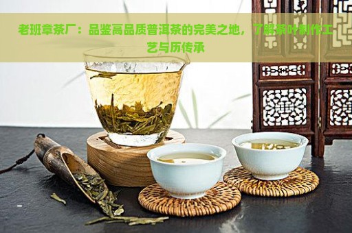 老班章茶厂：品鉴高品质普洱茶的完美之地，了解茶叶制作工艺与历传承