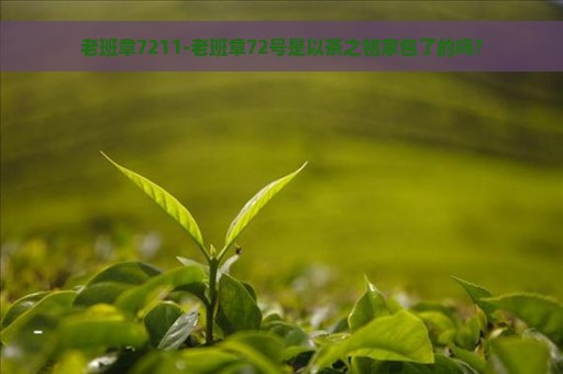 老班章7211-老班章72号是以茶之铭家包了的吗?