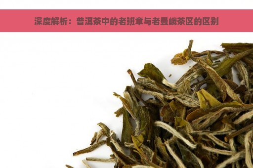 深度解析：普洱茶中的老班章与老曼峨茶区的区别