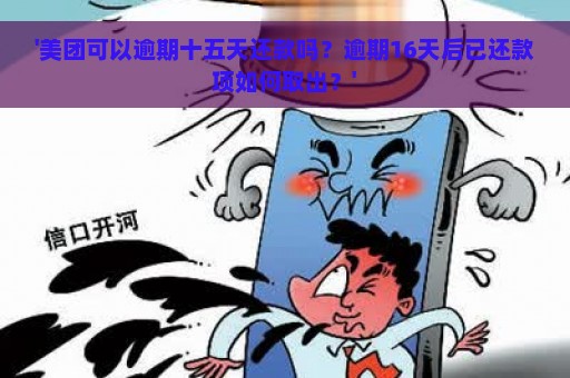 '美团可以逾期十五天还款吗？逾期16天后已还款项如何取出？'