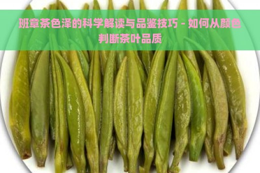 班章茶色泽的科学解读与品鉴技巧 - 如何从颜色判断茶叶品质