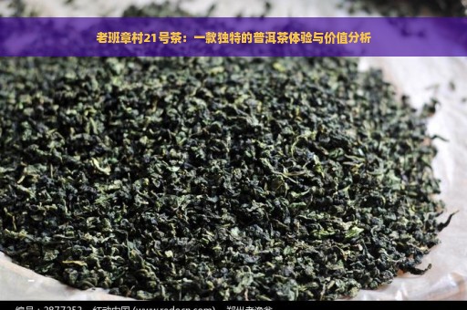 老班章村21号茶：一款独特的普洱茶体验与价值分析