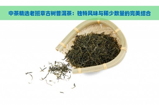 中茶精选老班章古树普洱茶：独特风味与稀少数量的完美结合