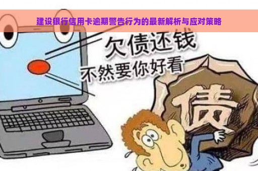 建设银行信用卡逾期警告行为的最新解析与应对策略