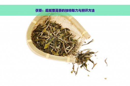 茯茶：超越普洱茶的独特魅力与辨识方法