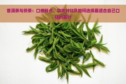 普洱茶与茯茶：口感特点、功效对比及如何选择最适合自己口味的茶叶